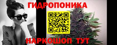 Альфа ПВП Краснознаменск