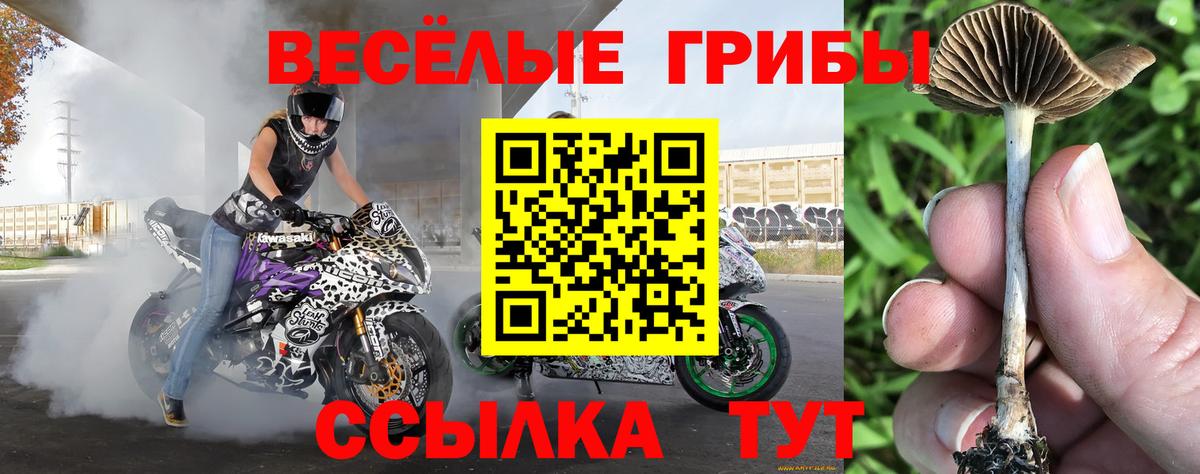 Спасск-Дальний  Псилоцибиновые грибы мицелий  Вход с VPN 