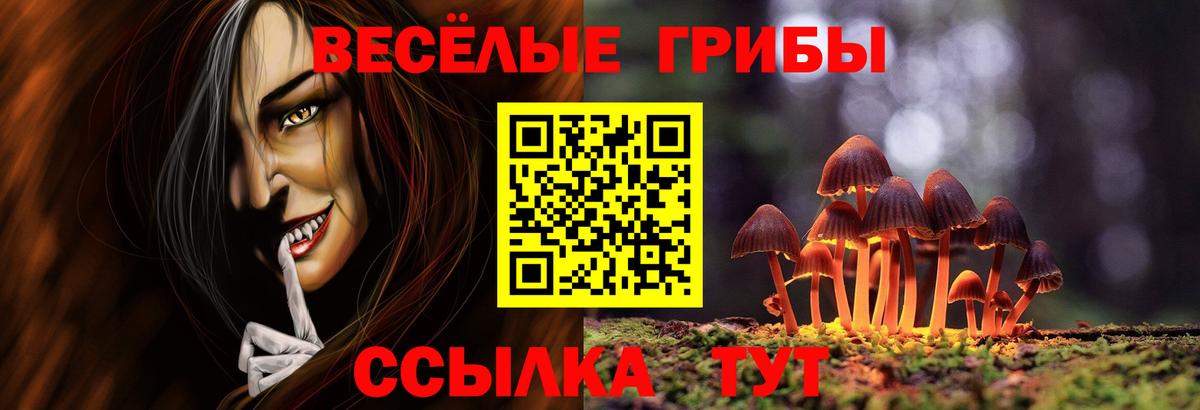 Галлюциногенные грибы GOLDEN TEACHER Спасск-Дальний
